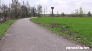 Bisexuels au parc seront rejoints par une prostituée