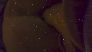 Un peu de pegging avec Madame avec gros matos