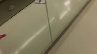 Vérifiez votre âge