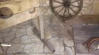 La pornstar Sienna Day a un penchant pour les scènes X BDSM