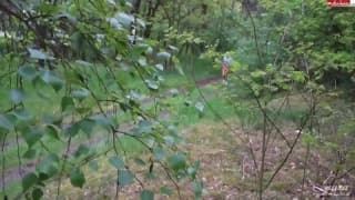 Ce couple improvise un scénario en forêt Ce couple improvise un scénario en forêt