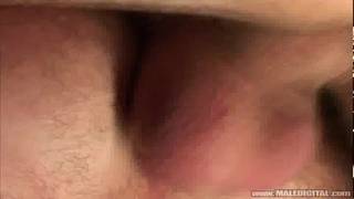 Joshua Rodgers, Rick Bauer et Zsolt Kolumbiai dans un trio chaud Trio, Jeune 18-21ans, Vidéos scénarisées, Anal, Mecs Musclés, Fellation, Acteur Porno, DILF