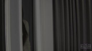 Vérifiez votre âge