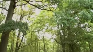 Vérifiez votre âge