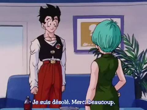 Vérifiez votre âge