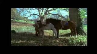 Vérifiez votre âge