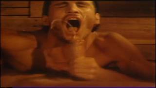 Une vidéo vintage de pipes entre gays