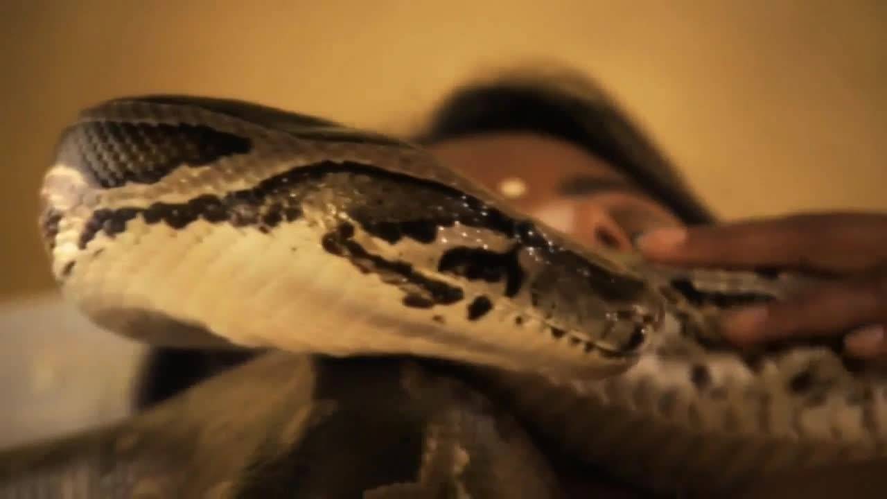 Vérifiez votre âge