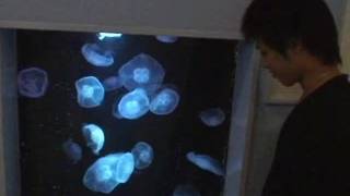 Mecs orientaux mignons nous montrent comment ils jouent à l'anal Mecs orientaux mignons nous montrent comment ils jouent à l'anal