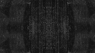 Deux superbes Trans, une déchibée et l'autre cerf