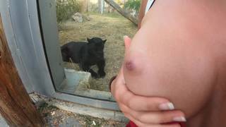 Dogging amateur et ejac sur les seins au zoo