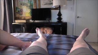 Vérifiez votre âge