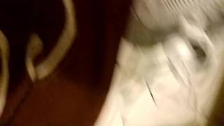 Sextape en gros plan 100% amateur français Sextape en gros plan 100% amateur français