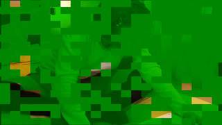 Vérifiez votre âge