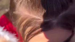 Le visage d'une belle fille inondé de sperme après une fellation Le visage d'une belle fille inondé de sperme après une fellation