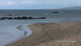 Gay asiatique prend un bain de soleil nu au Hawaï