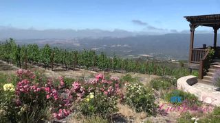 Vérifiez votre âge