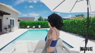 Vérifiez votre âge