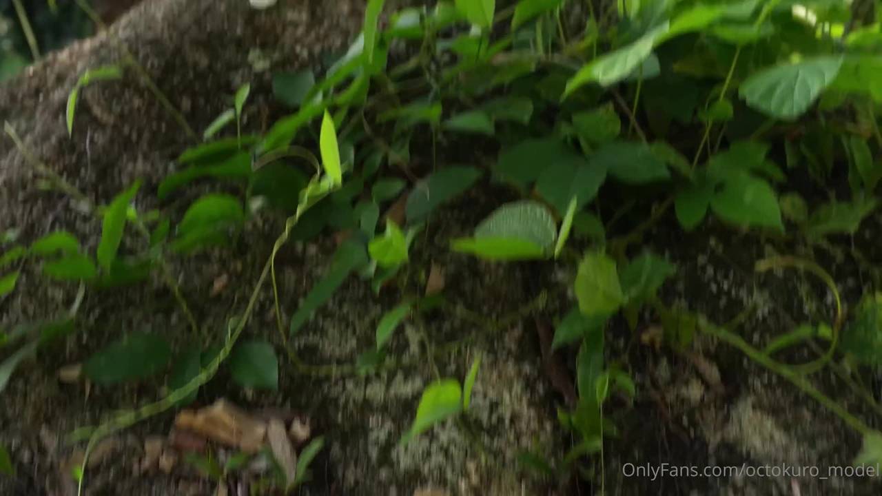Vérifiez votre âge