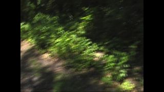 Vérifiez votre âge