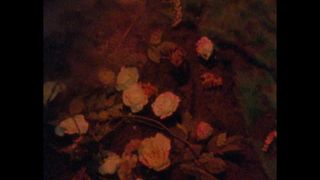 Vérifiez votre âge